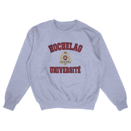 Hochelaga University (FAKE U)