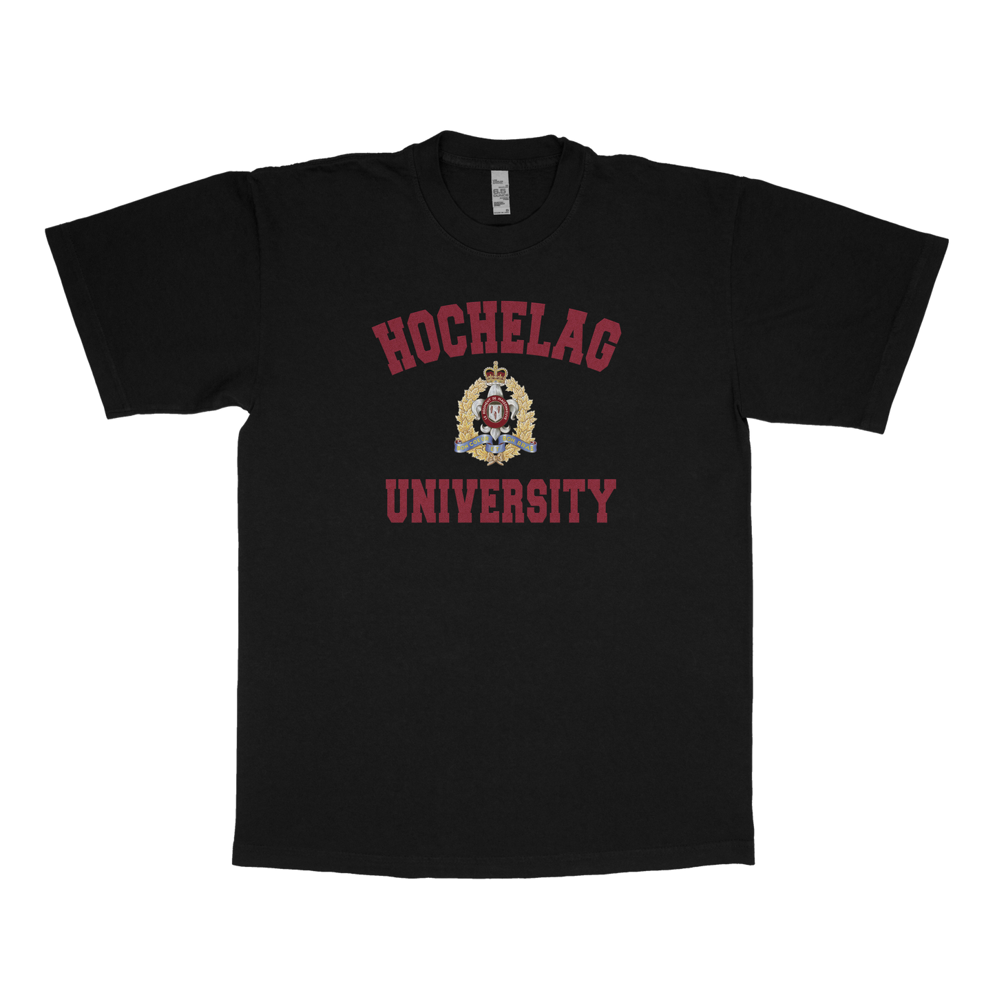 Hochelaga University (FAKE U)