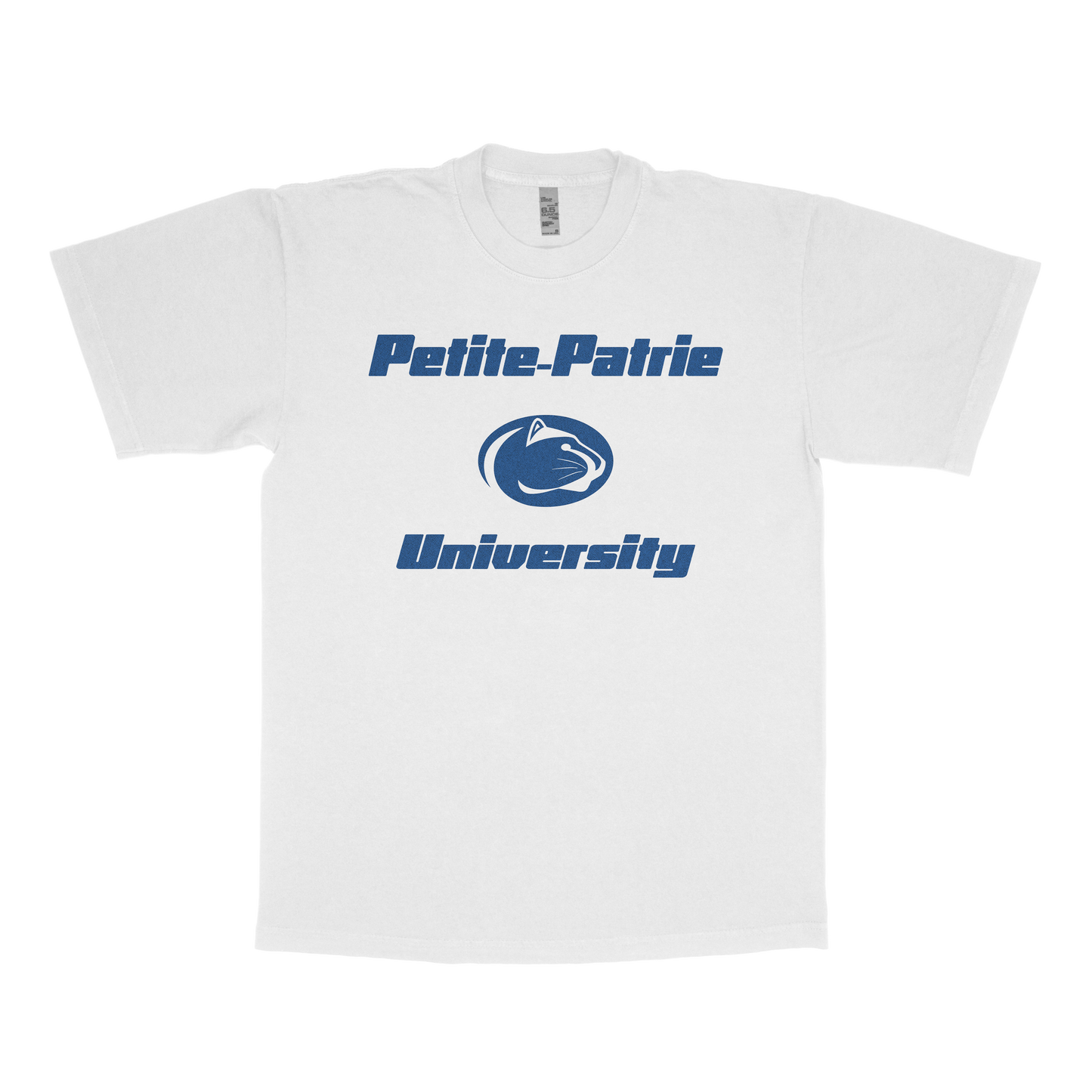 Petite-Patrie University (FAKE U)