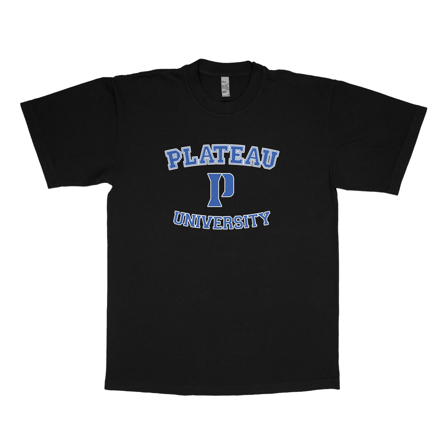 Plateau University (FAKE U)