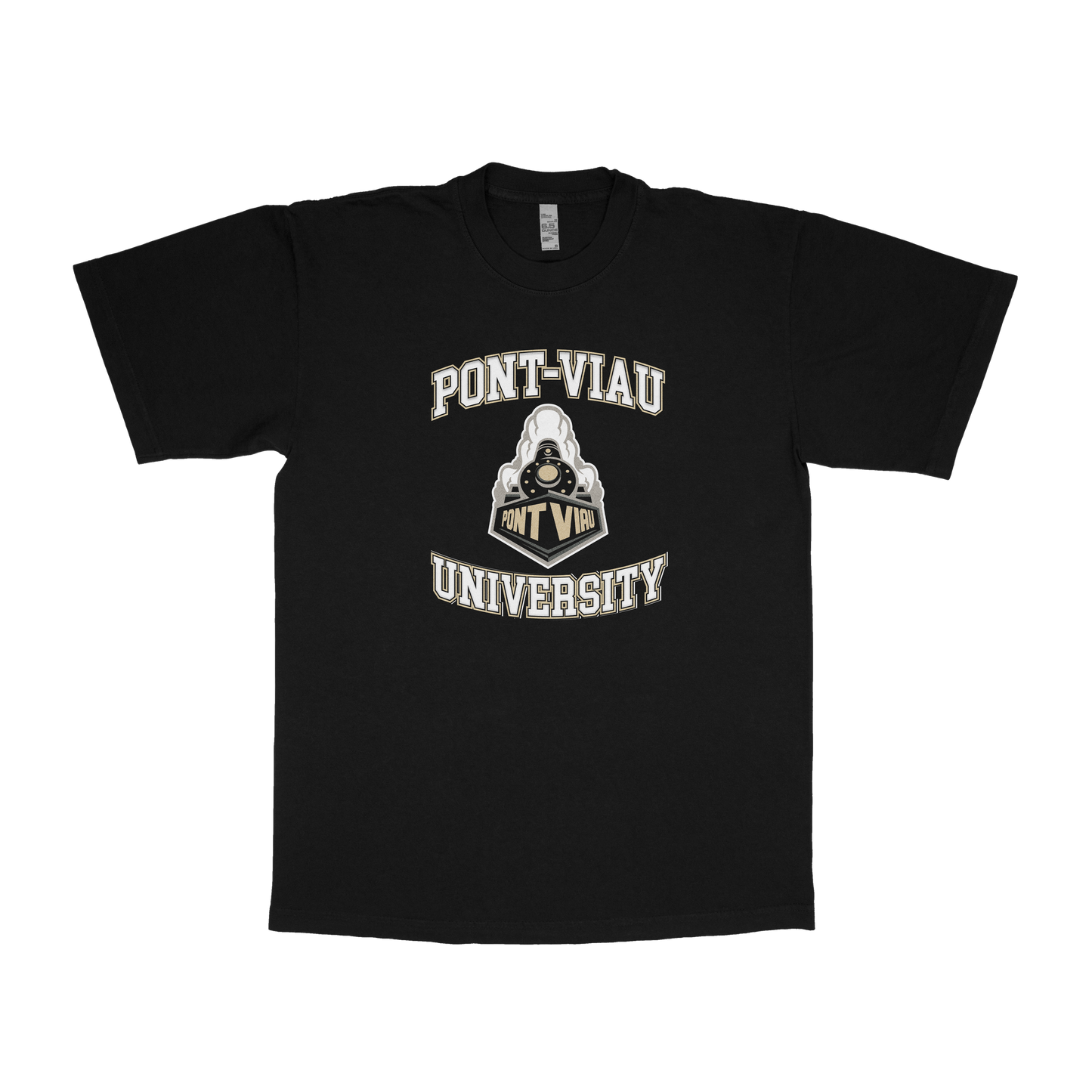 Pont-Viau University (FAKE U)