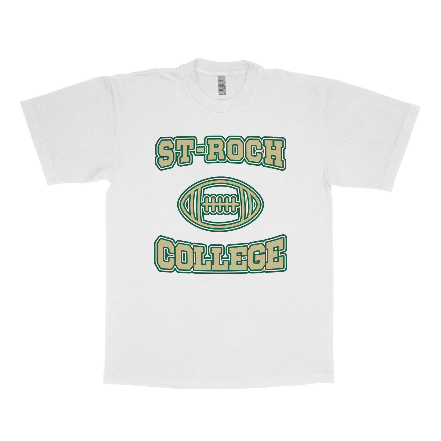 St-Roch College (FAKE U)