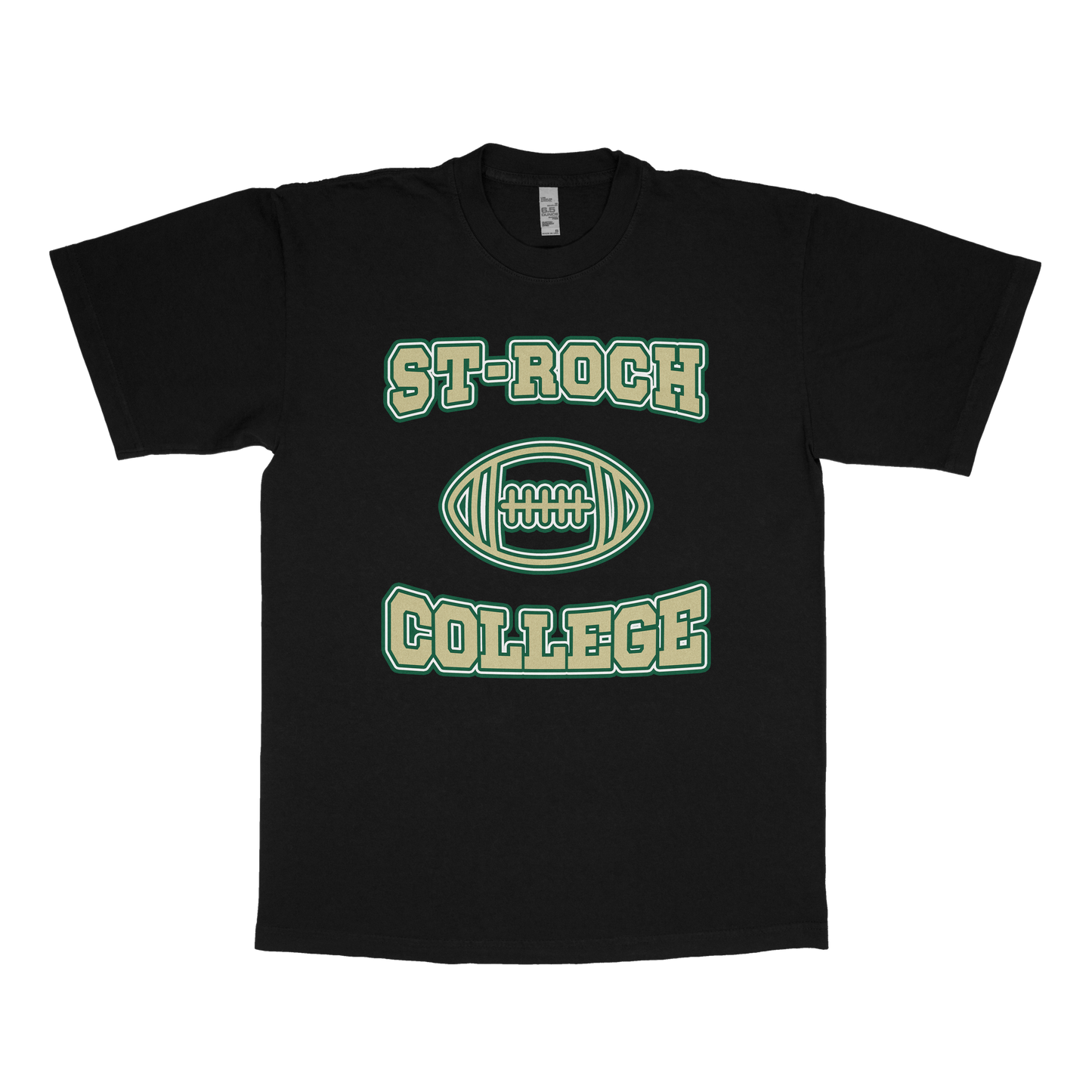 St-Roch College (FAKE U)
