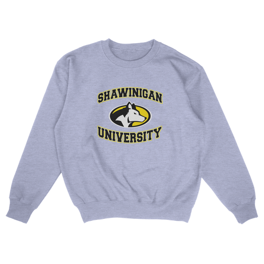Shawinigan University (FAKE U)
