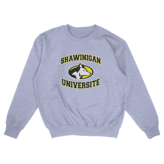 Shawinigan Université (FAUX U)