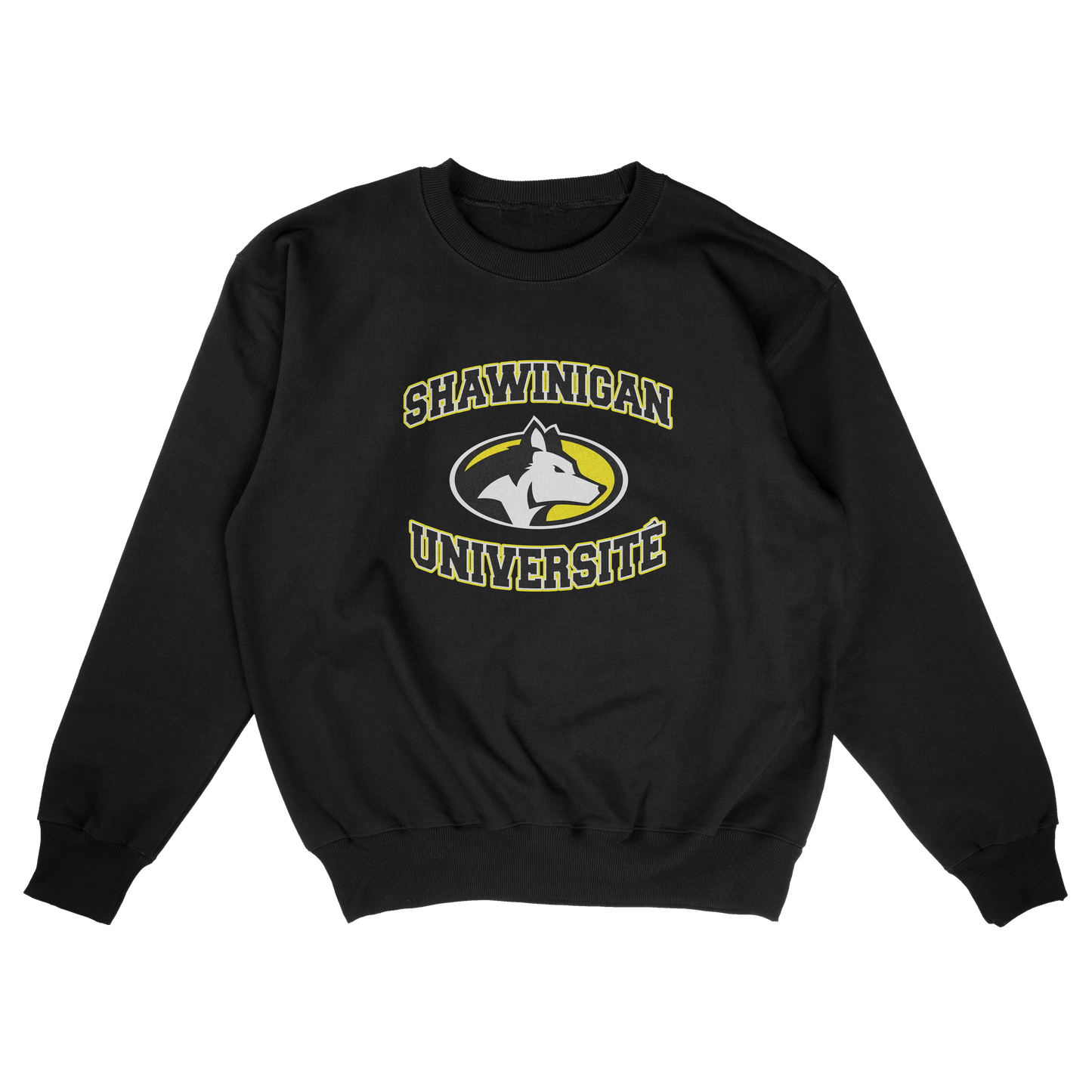 Shawinigan University (FAKE U)