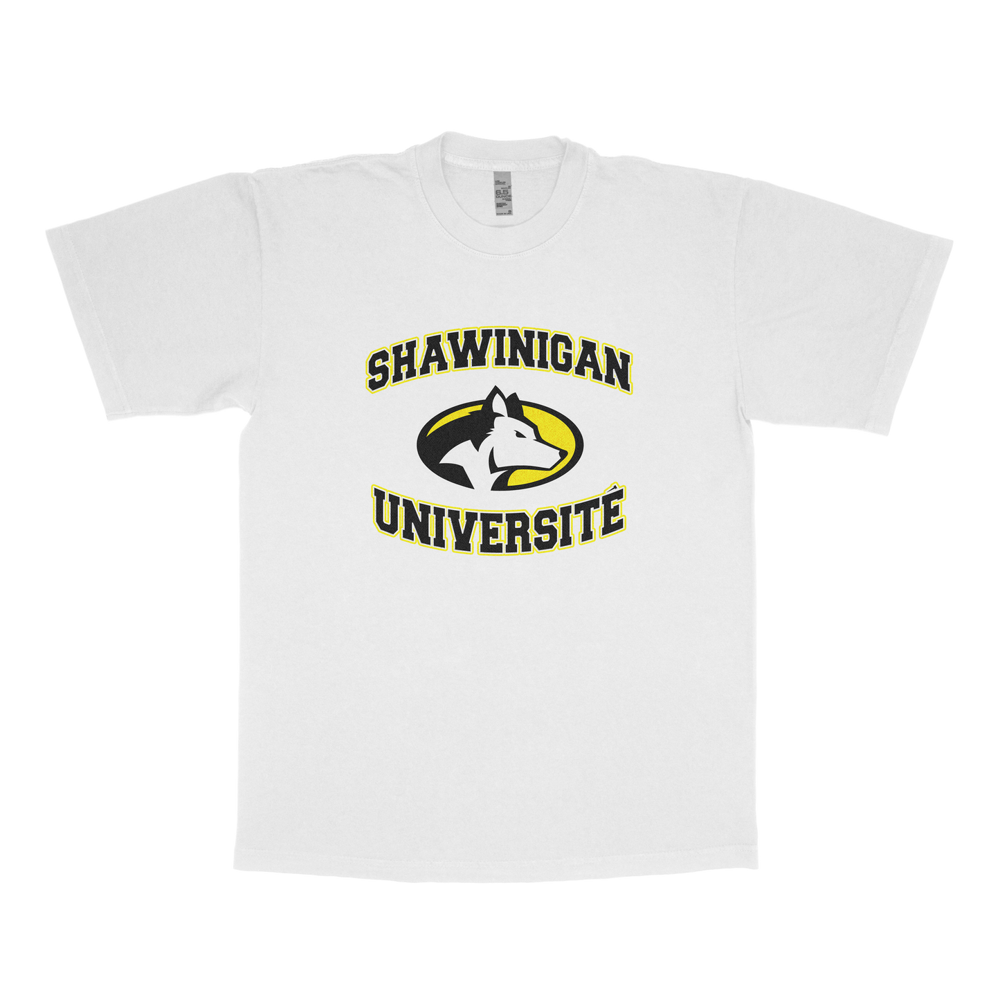 Shawinigan University (FAKE U)