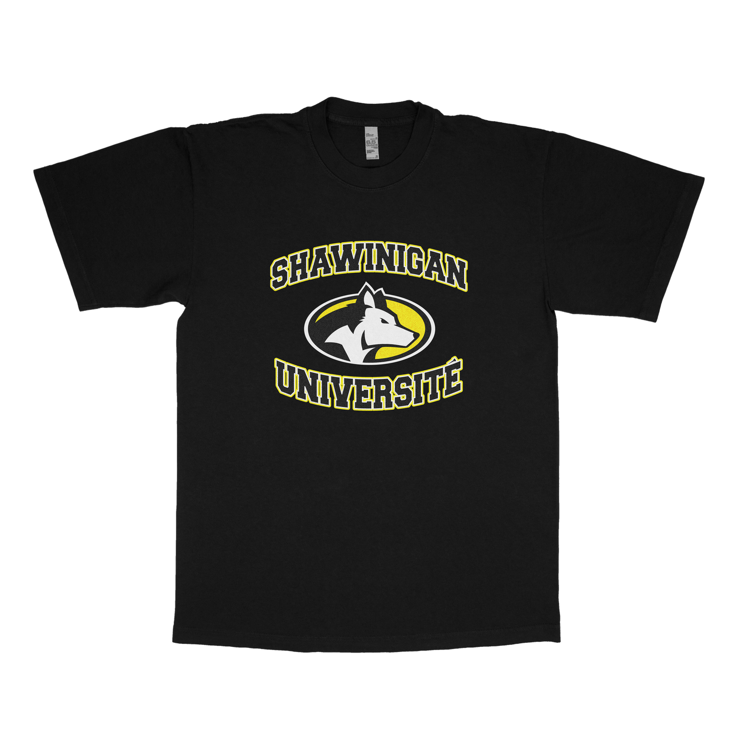 Shawinigan University (FAKE U)