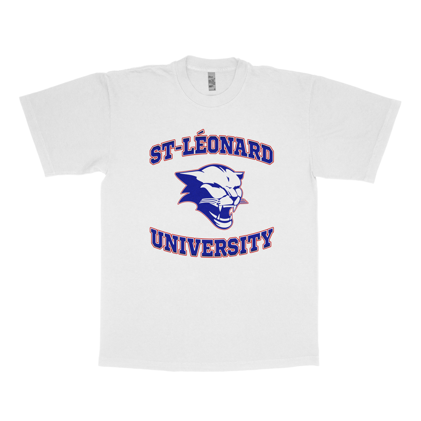 Saint-Léonard University (FAKE U)