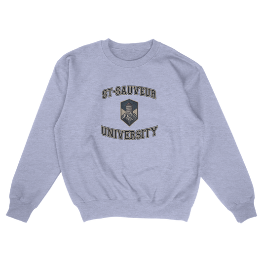 St-Sauveur University (FAKE U)