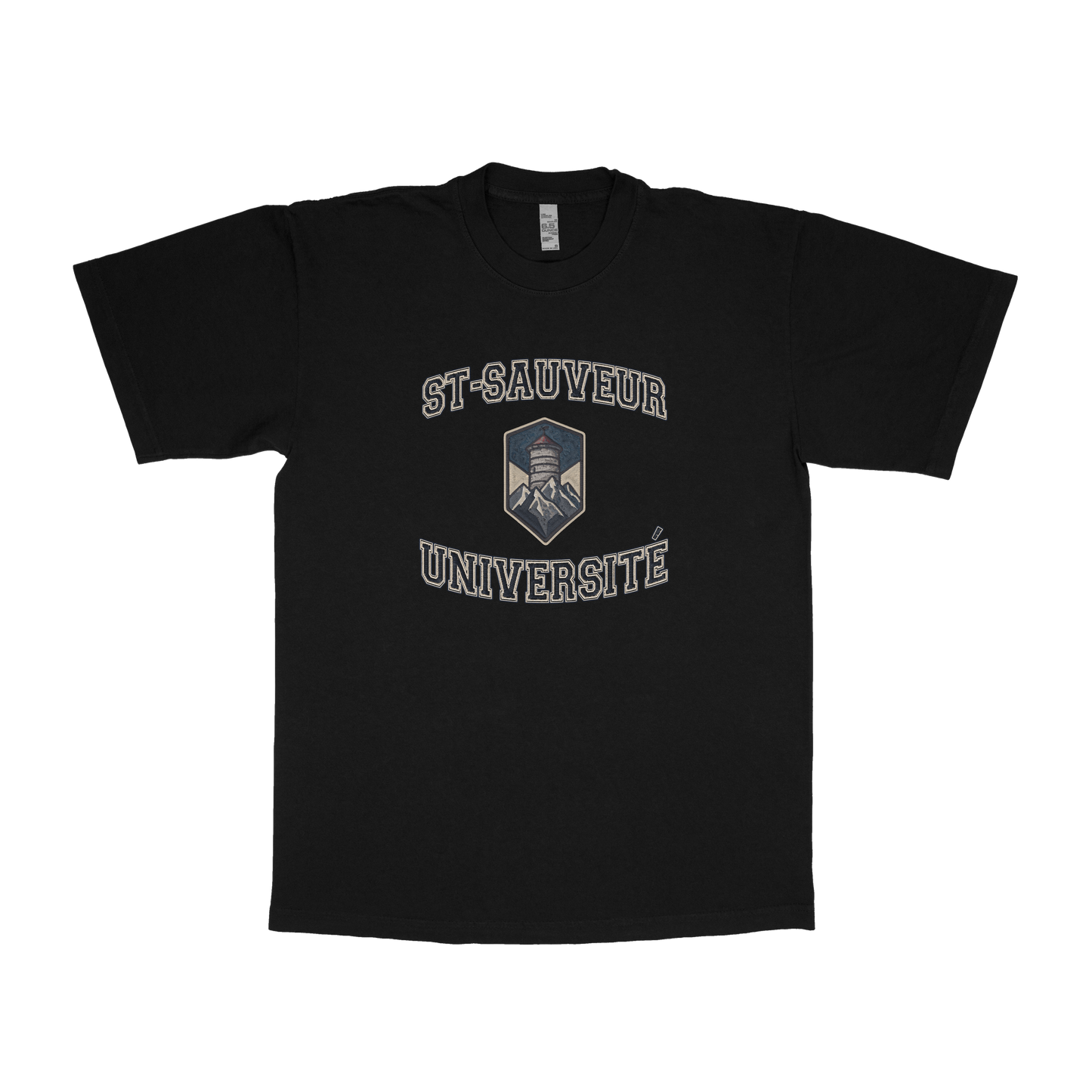 St-Sauveur Université (FAUX U)