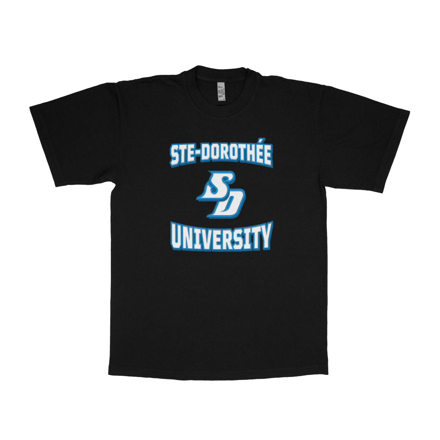 Sainte-Dorothée University (FAKE U)