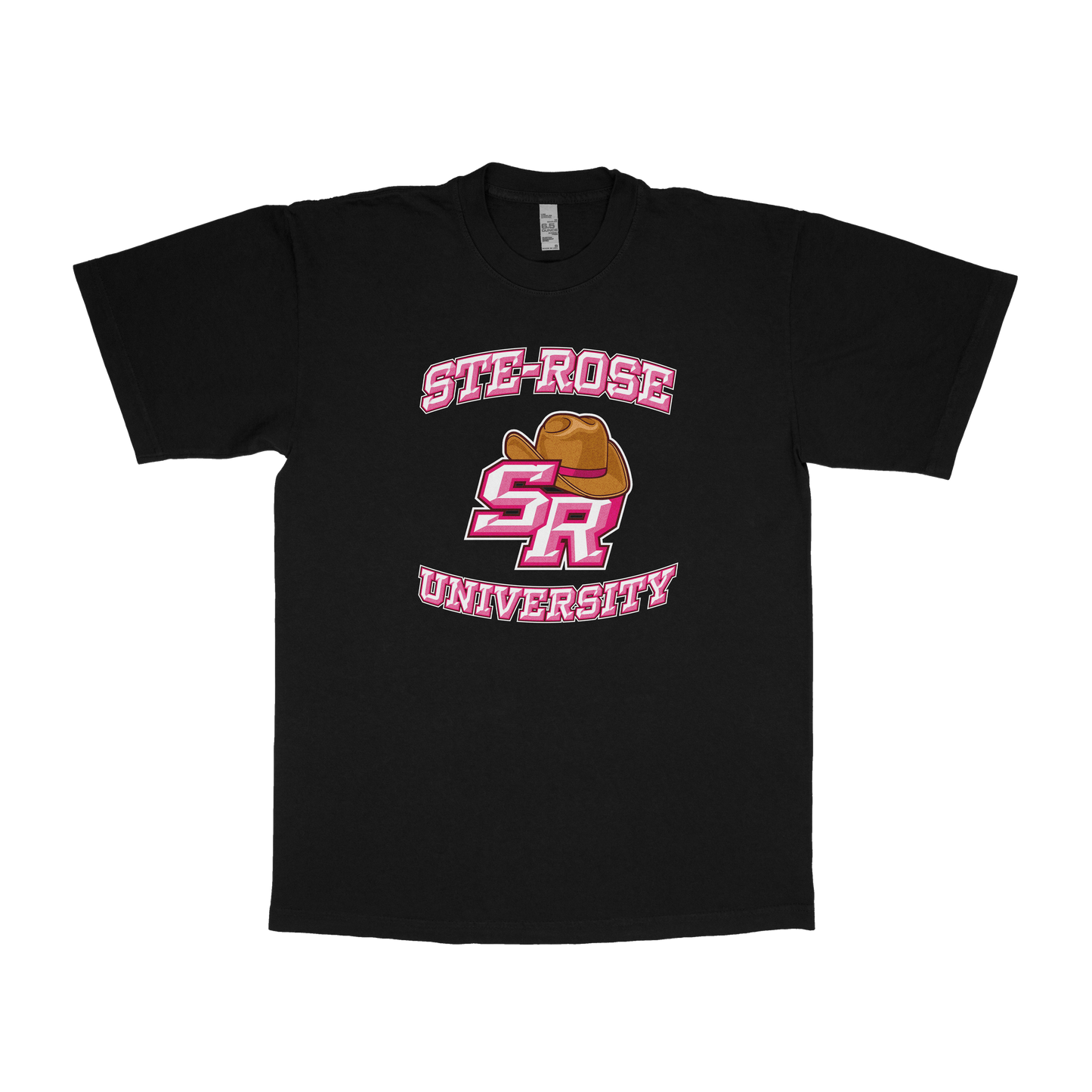 Sainte-Rose University (FAKE U)
