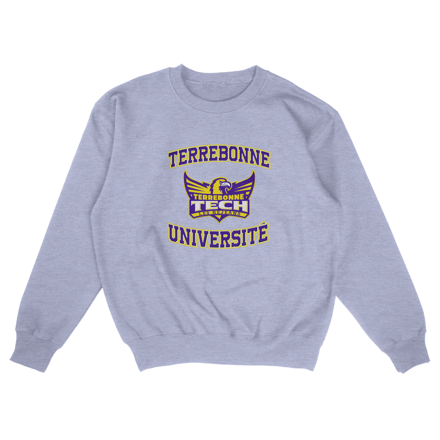 Terrebonne Université (FAUX U)