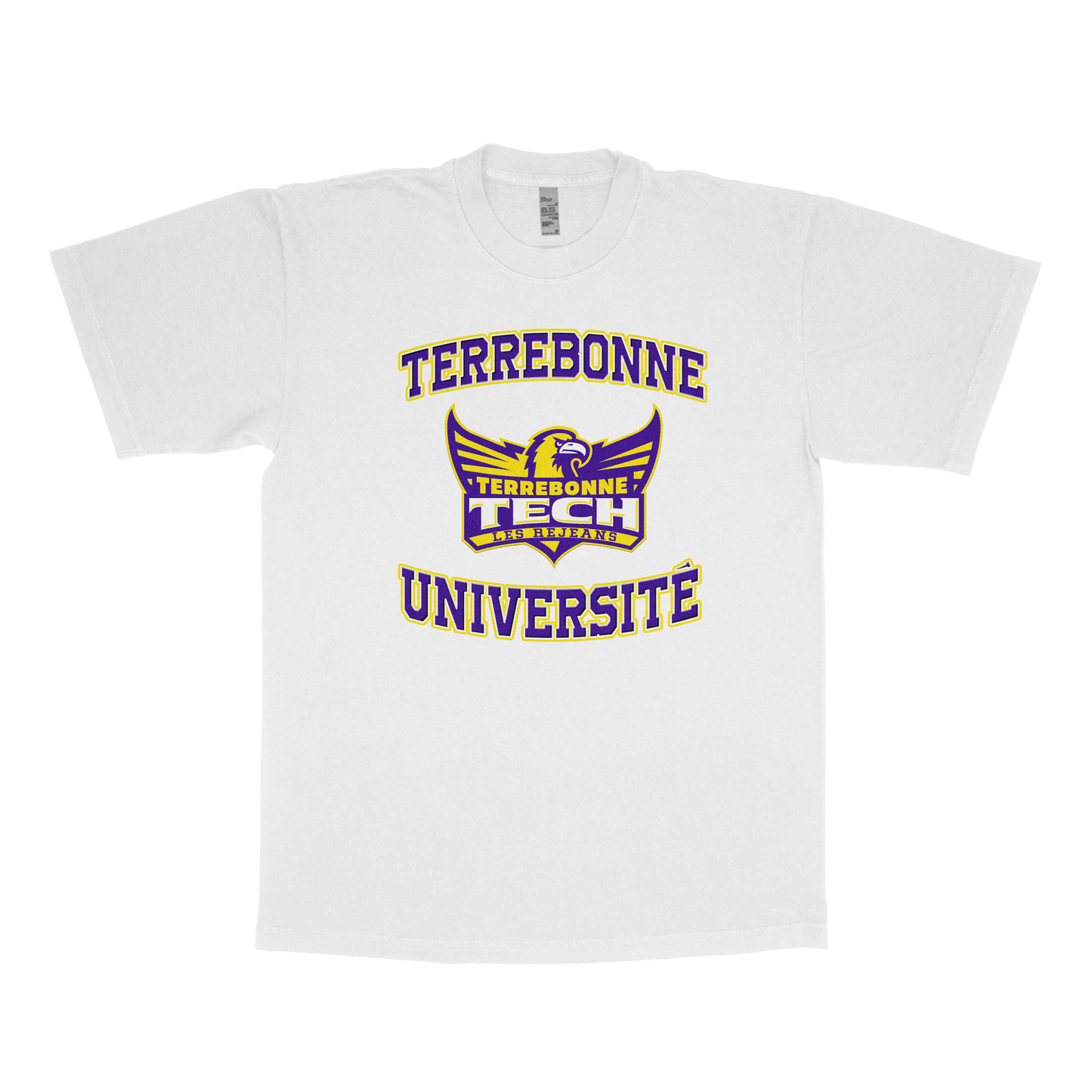 Terrebonne Université (FAUX U)