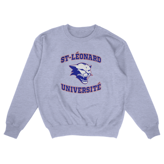 Saint-Léonard Université (FAUX U)