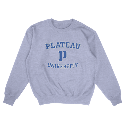Plateau University (FAKE U Varsity)