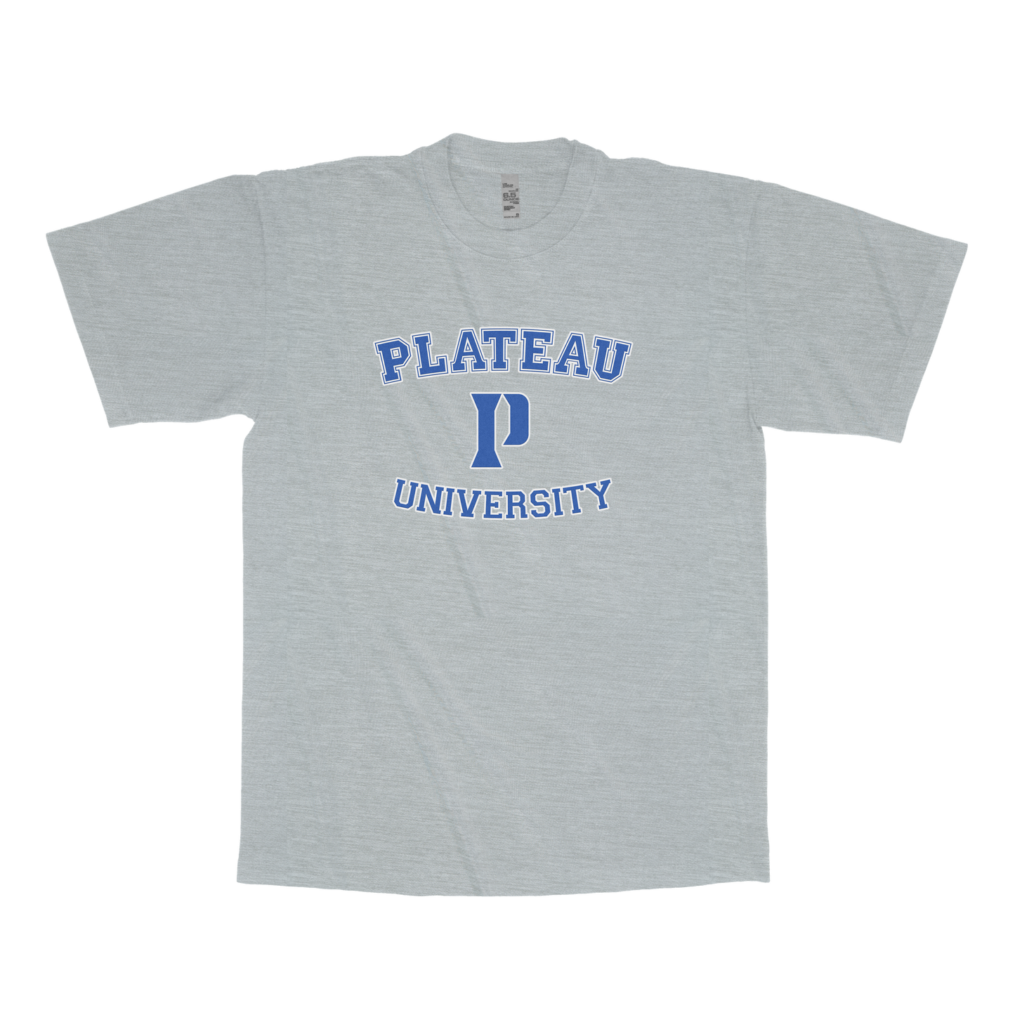 Plateau University (FAKE U T-Shirt)