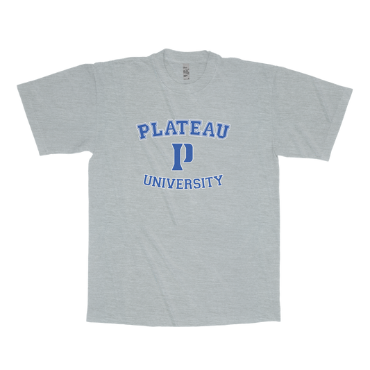 Plateau University (FAKE U T-Shirt)